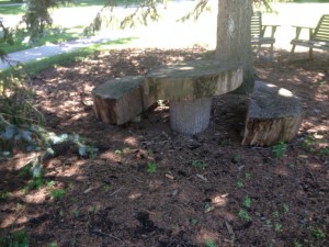 Tree bark table set