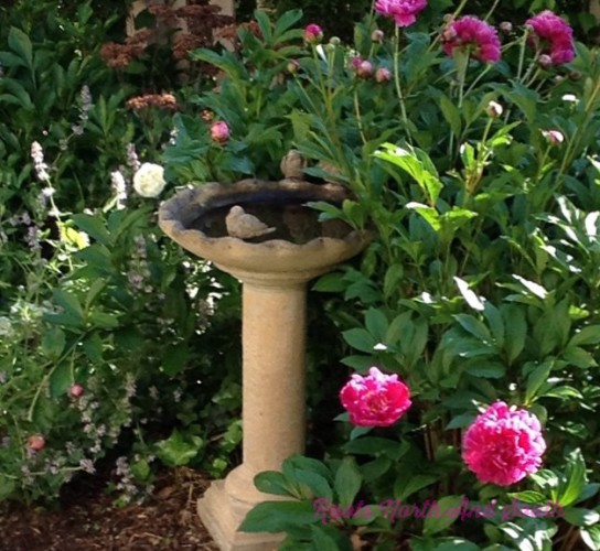 Accessorizing the garden