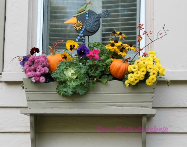 Ideas for Fall Window Boxes on the Garden Tour