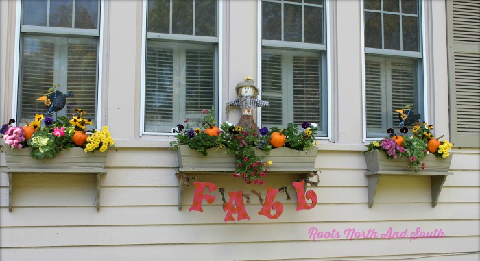 Fall Window Boxes