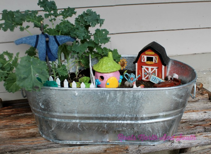 Fairy Gardens and Miniature Gardens