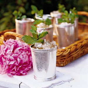 Mint Julep & Southern Living