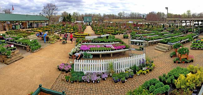 Homestead Gardens