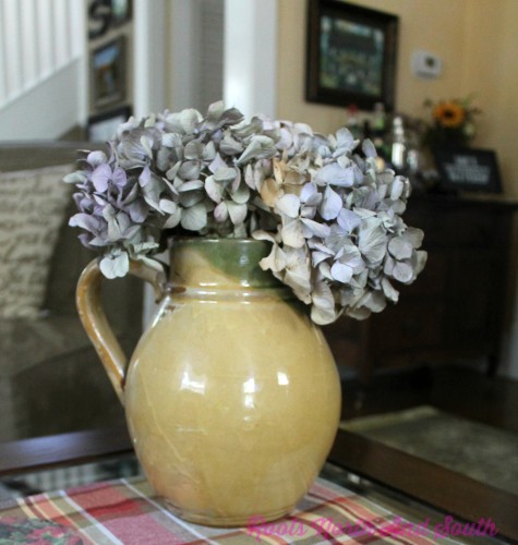 Drying Hydrangeas