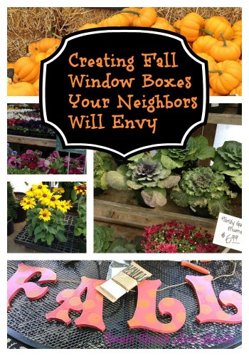 Fall Window Box Envy