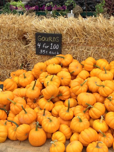 Pumpkins in the Window Boxes