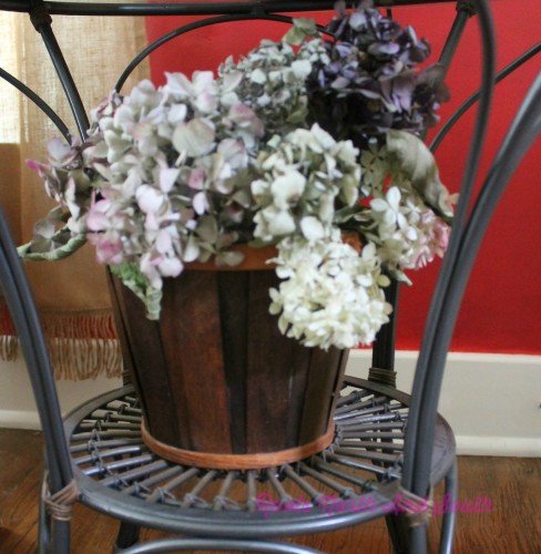 Displaying Dried Hydrangeas