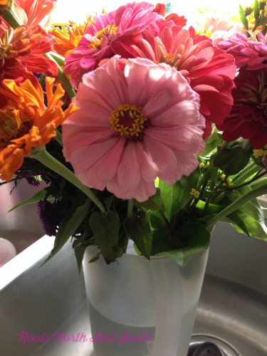 Sink Full of Farmer's Market Zinnias