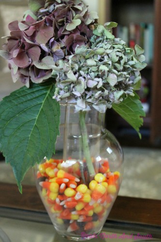 Hydrangeas and Candy Corn