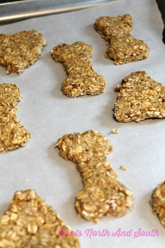 Homemade dog treat recipe