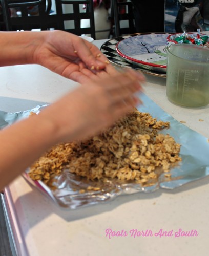 Making homemade dog treats