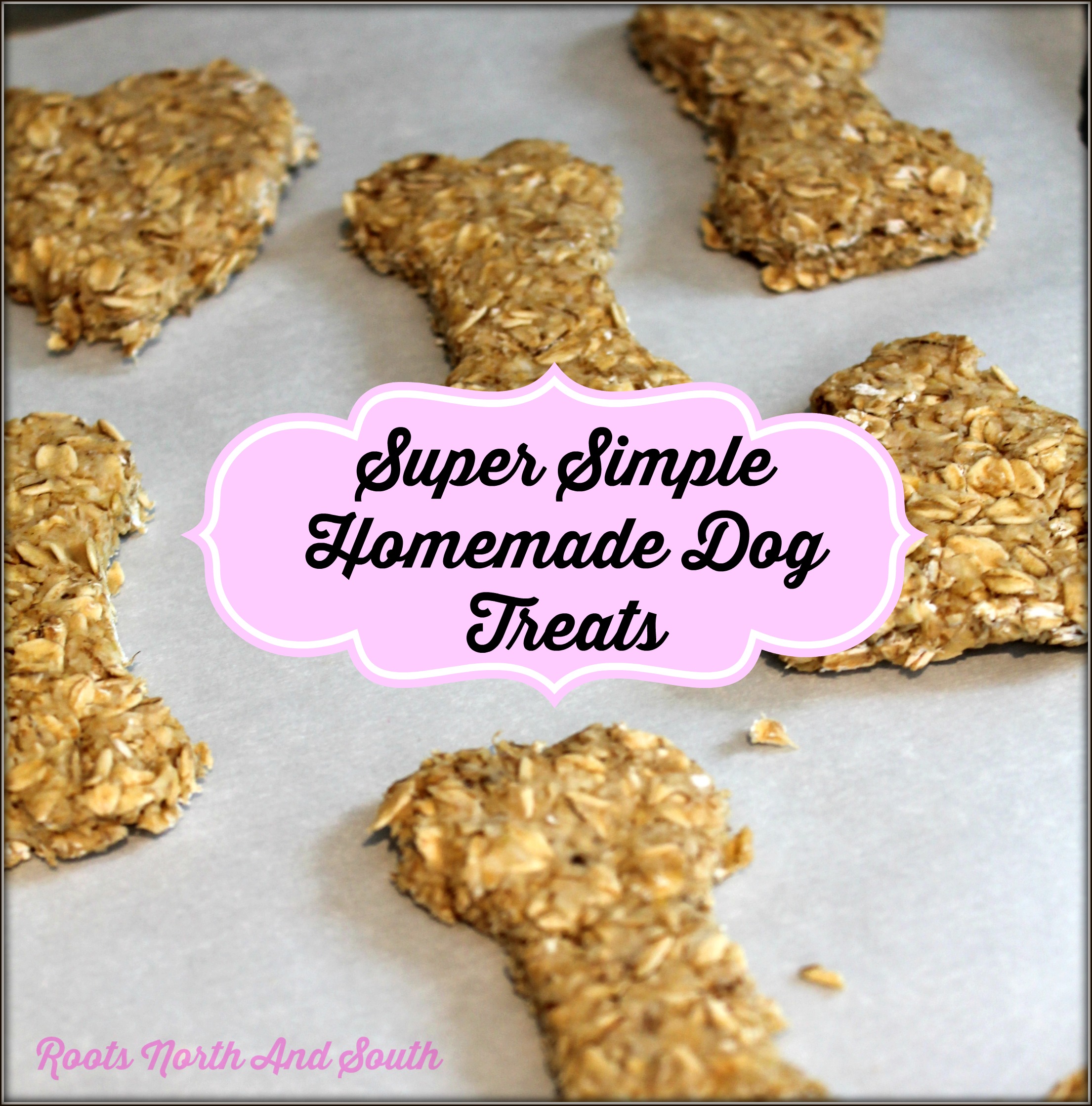 homemade-dog-treats-for-the-kids-to-make-roots-north-south