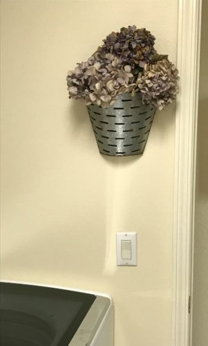 Dried Hydrangea Bucket