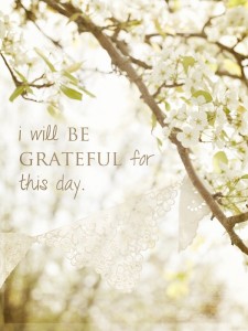 Gratitude for Each Day