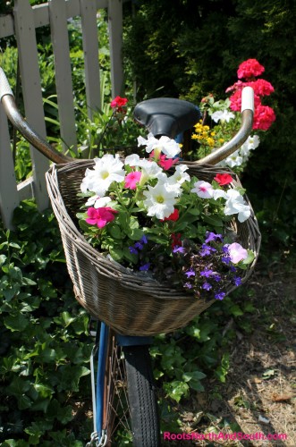 Bicycle Baset of Flowers