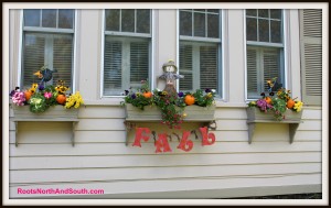 Fall window boxes