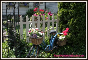 An old bike in the garden