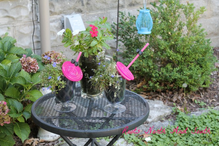 A blender and drink glass for flower containers on the patio