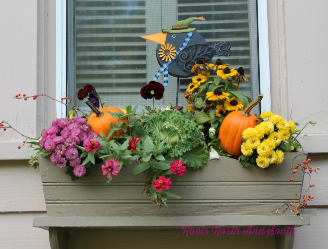 Fall Window Box Ideas on Garden Tour