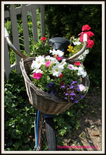 Historic home garden tour
