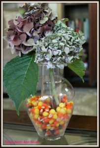 Candy corn and hydrangea floral