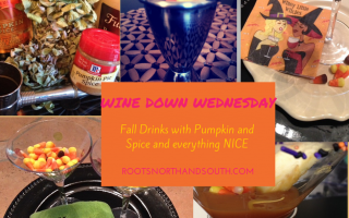 Put Your Wine Down – Try a Fall Martini!