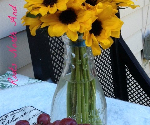 Creating a Picture Perfect Lifestyle Blog