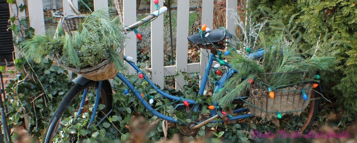 Old Blue Bike Welcomes Christmas 
