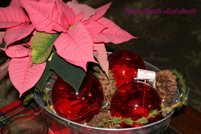 Poinsettias on the Coffee Table at Christmas