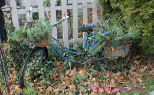 Decorating the garden for Christmas