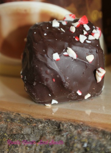 Peppermint Marshmallows on the Cocoa Station