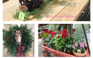 Memory Lane and My Favorite Garden Centers