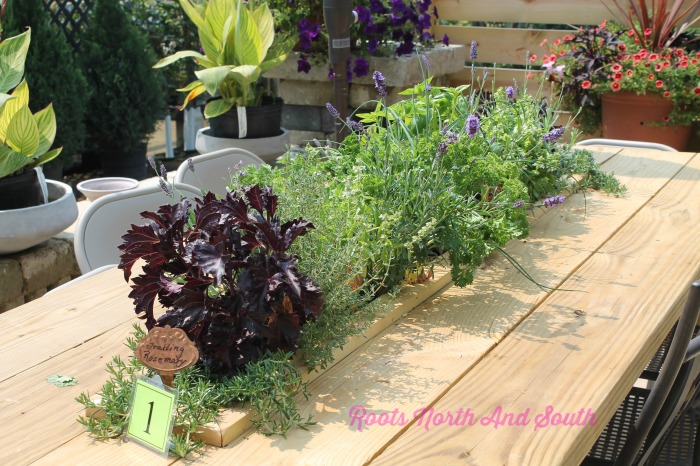 A Table Herb Garden