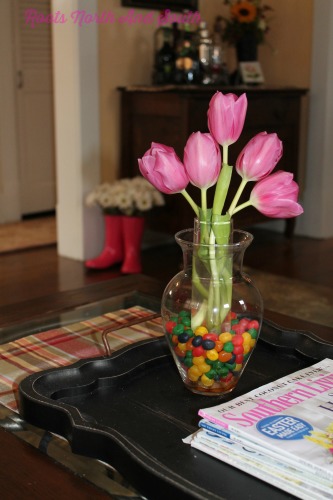 Tulips and Jelly Beans