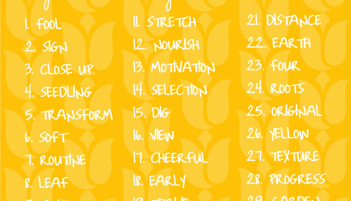 #GARDEN365: An Everyday Garden Photo Challenge