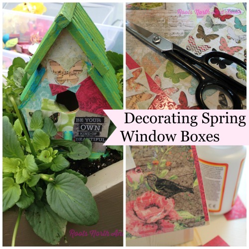 Decorating Spring Window Boxes
