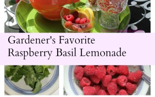 Triple Top Secret Raspberry Basil Lemonade