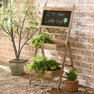 Salad Station Container Garden