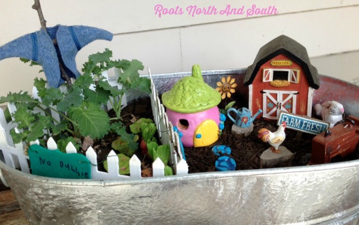 The Tale of Peter Rabbit Miniature Garden