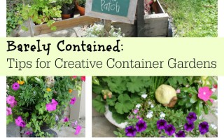 Barely Contained: Tips for Container Gardens