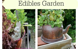 Creating a Container Edibles Garden