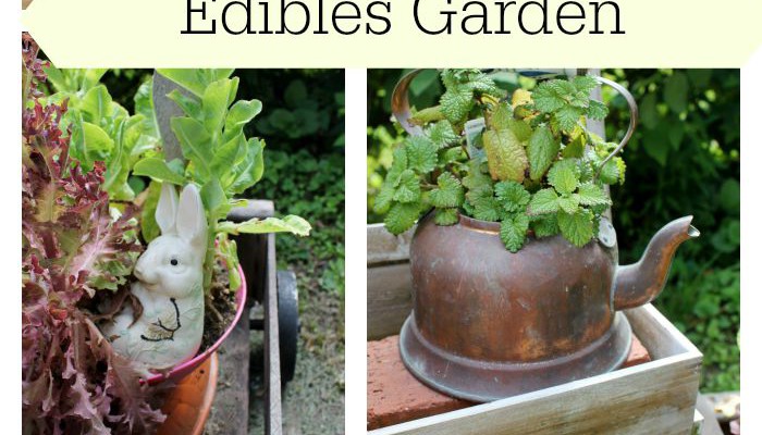 Creating a Container Edibles Garden