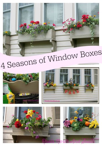 4 Seasons of Window Boxes