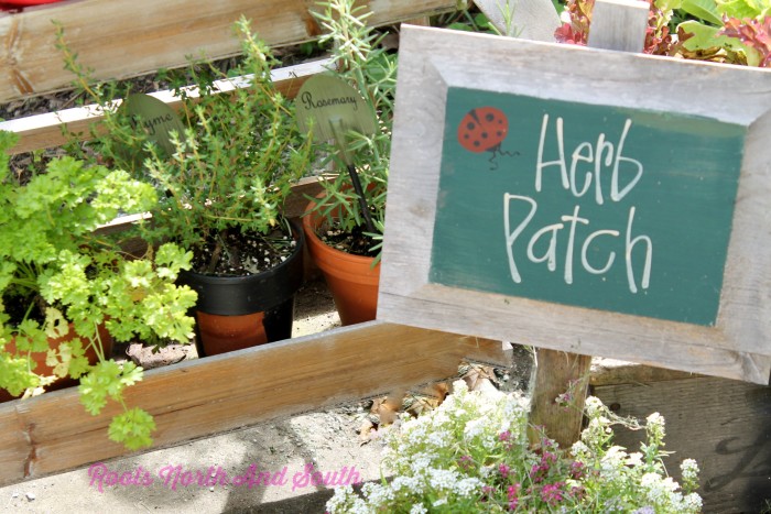 Container Herb Patch