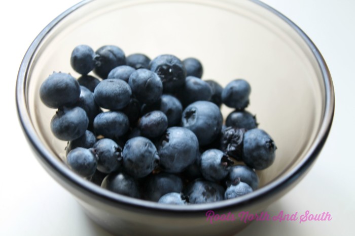 Blueberries for Smoothies