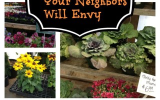 Creating a Fall Window Box Your Neighbors will Envy