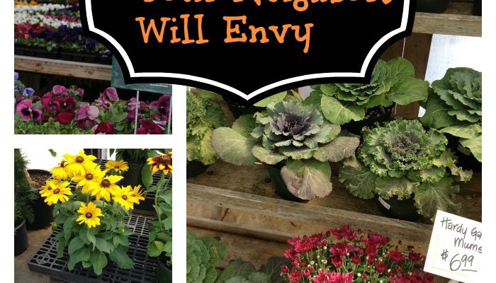 Creating a Fall Window Box Your Neighbors will Envy