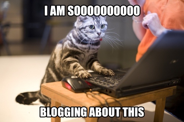 Lifestyle blogger's virtual journal
