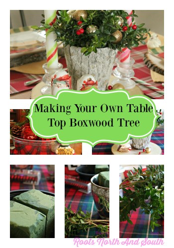 Making Table Top Boxwood Trees