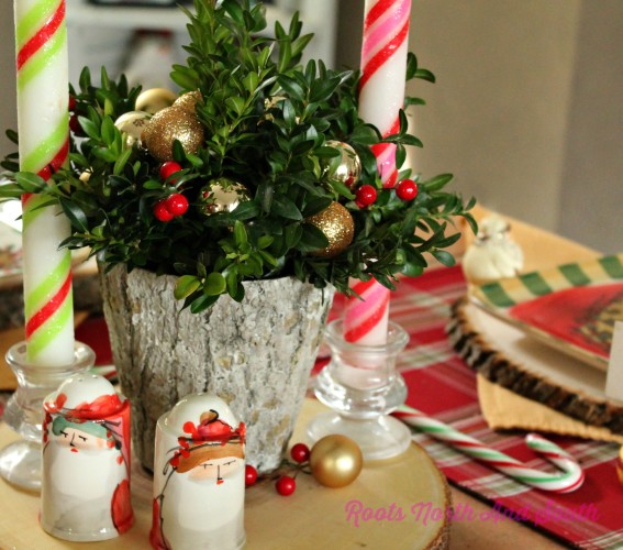 Boxwood Centerpieces for Christmas
